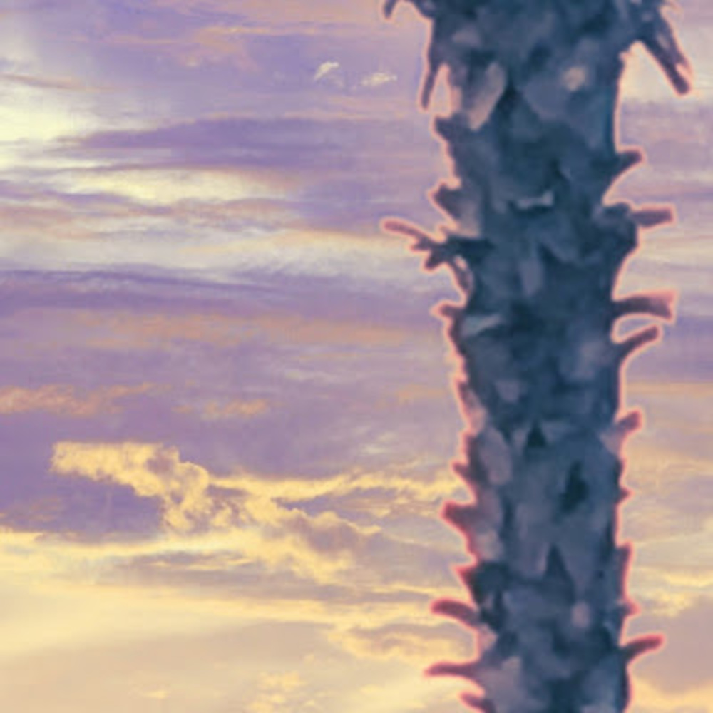 Meet your Posher, Saned